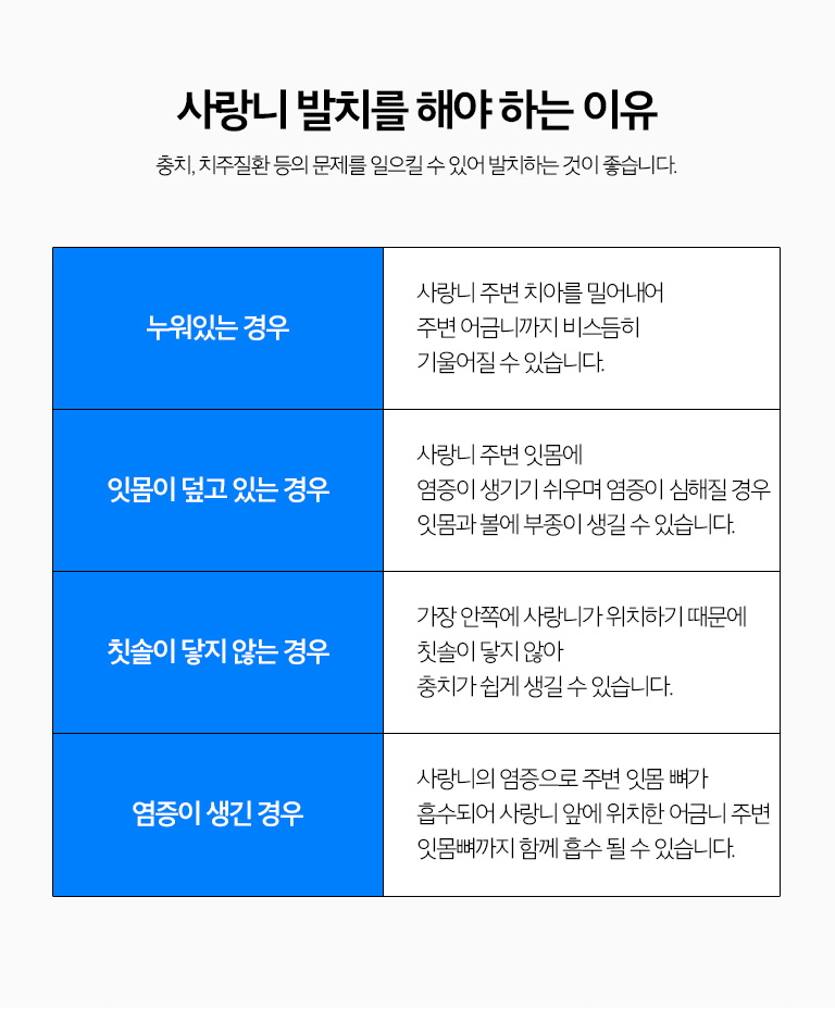 수원 작은 별새로운 출발 상세 안내 - 새로운 출발 전 영상에서 확인하는 것 - 아래턱 작은 별는 하치조느낌관과 치근의 관계, 위턱 작은 별는 상악동과의 위치, 이야기 방향과 뿌리 형태, 주변 변화과 앞 이야기 상태를 확인합니다.